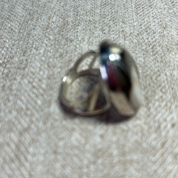 Jay king, petrified, wood ring - Picture 2 of 5